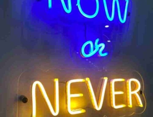 Neon Light – Now and Never